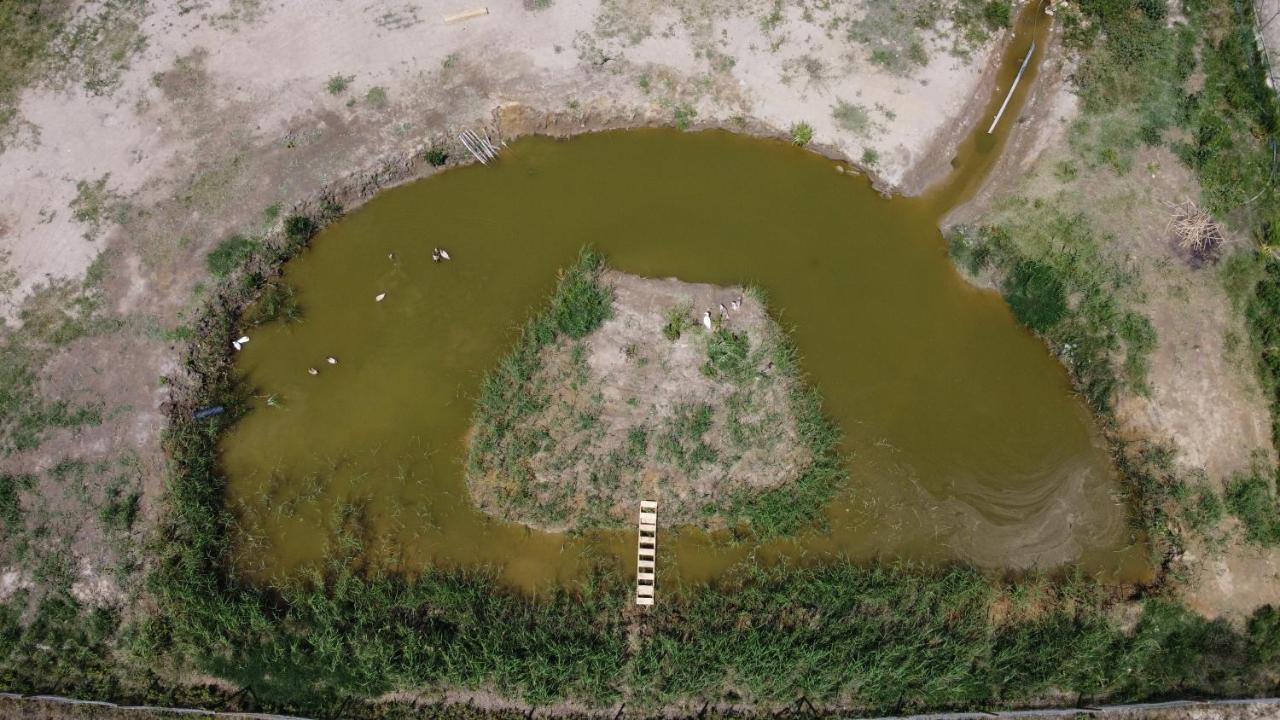 La Finestra del Delta L'Ampolla Exterior foto